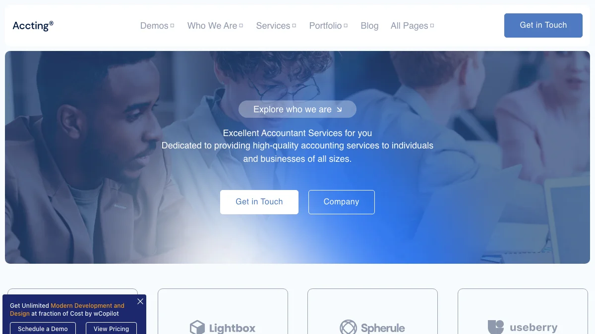 Screenshot of the Accting Lite theme homepage