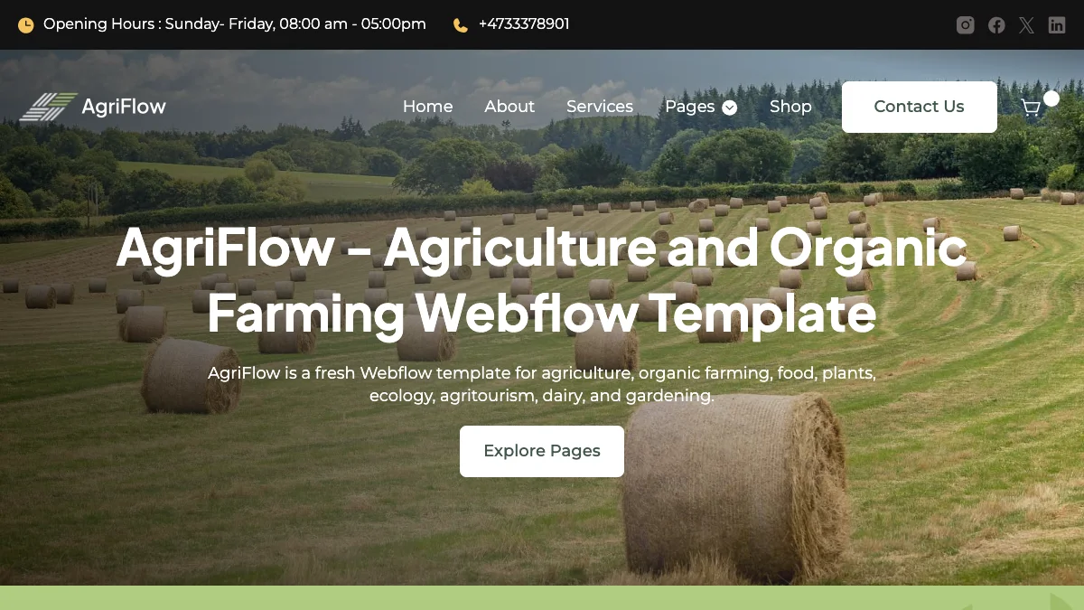 Screenshot of the AgriFlow theme homepage