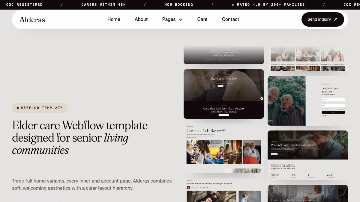 Screenshot of the Alderas theme homepage