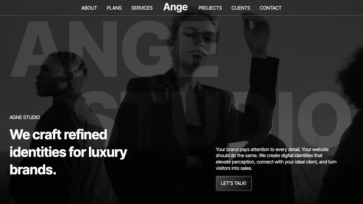 Screenshot of the Angestudio theme homepage