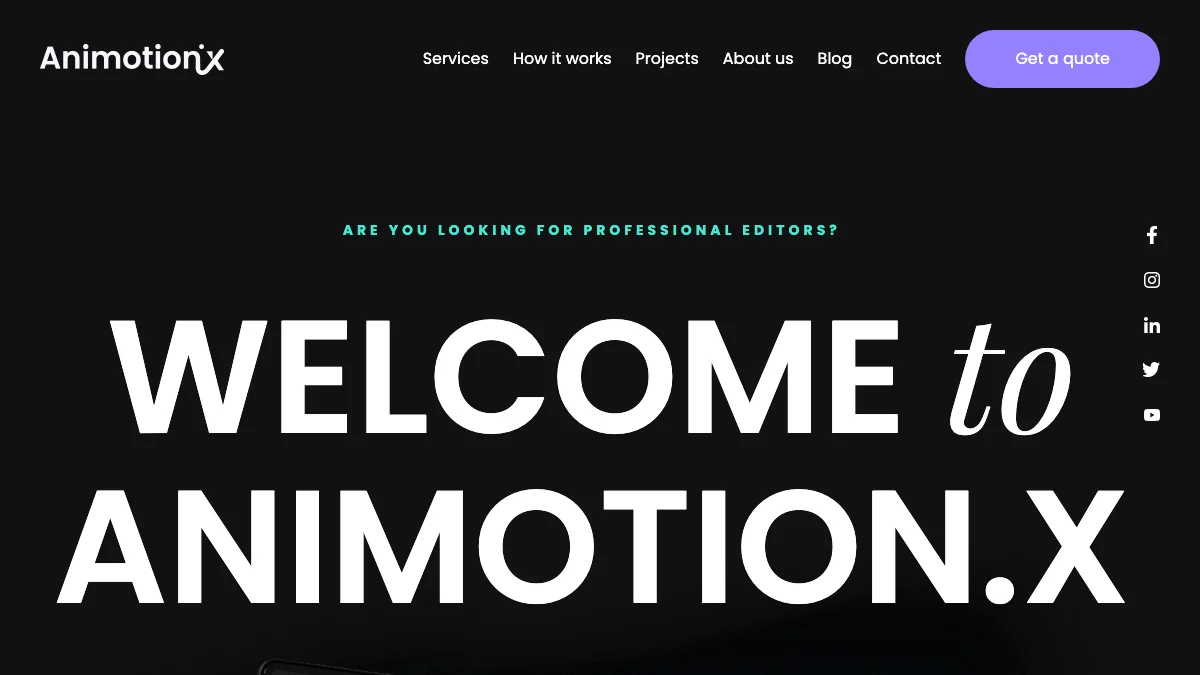 Screenshot of the Animotion.X theme homepage