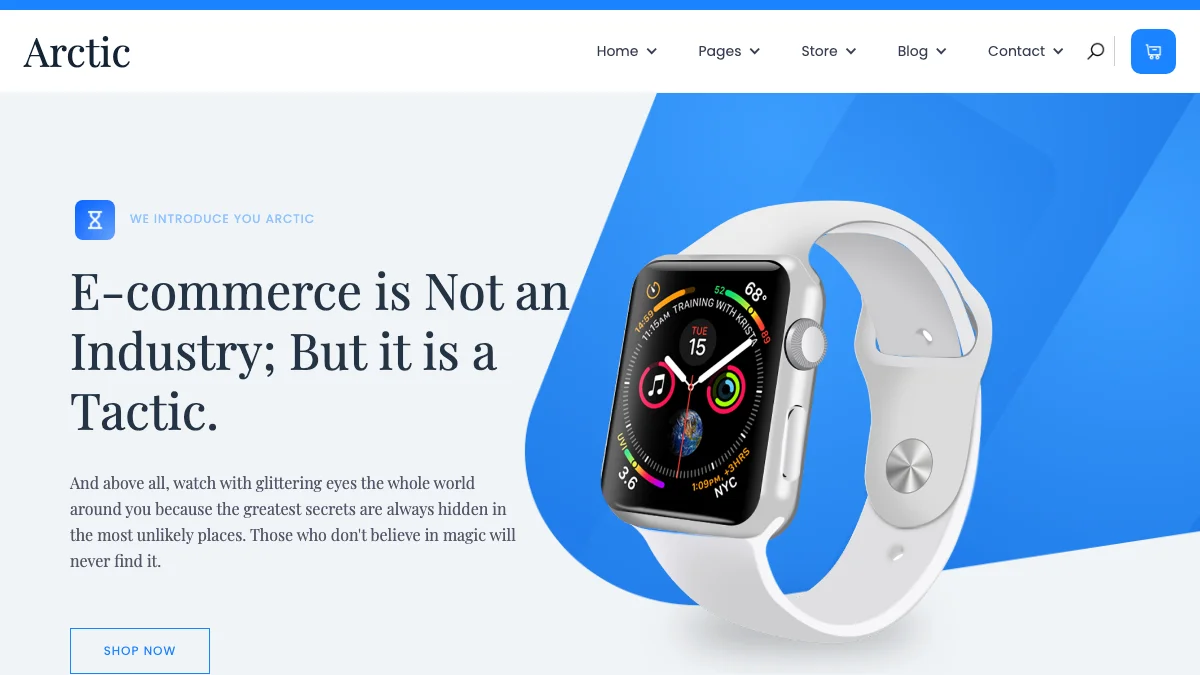 Screenshot of the Arctic theme homepage