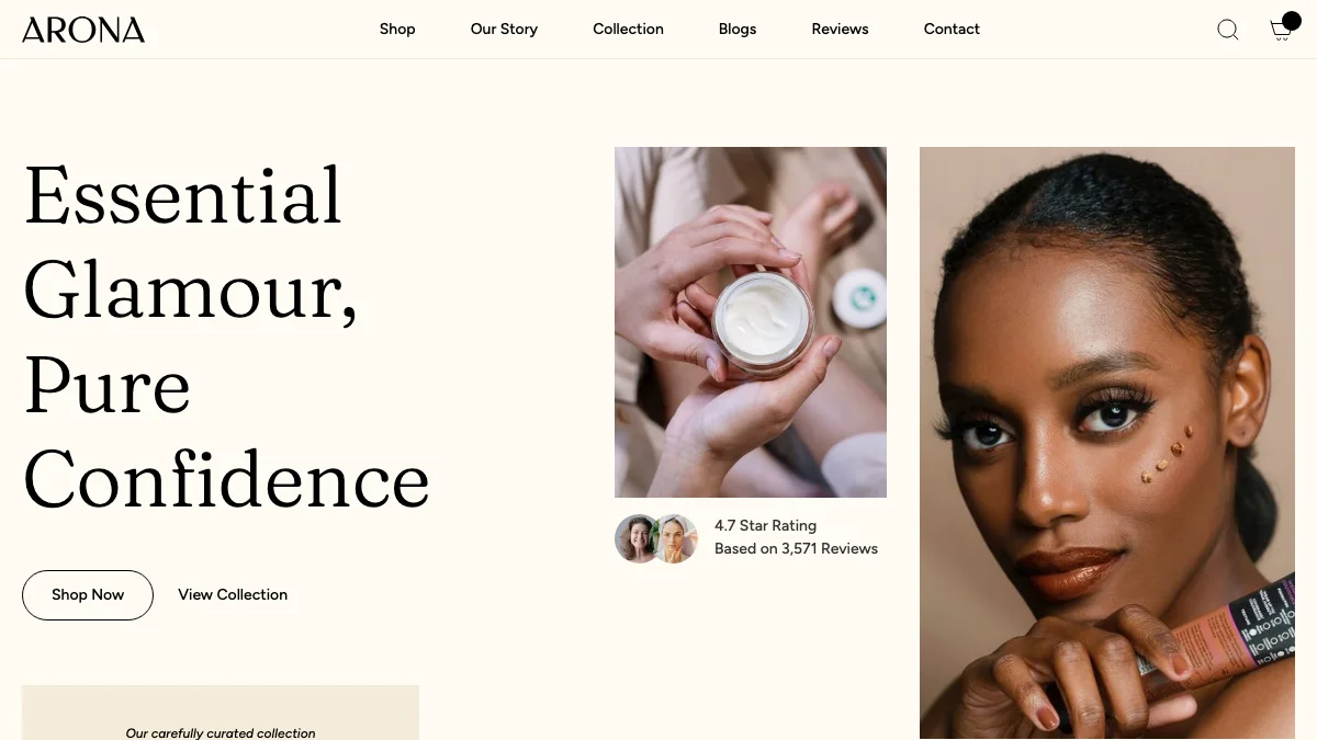 Screenshot of the Arona theme homepage