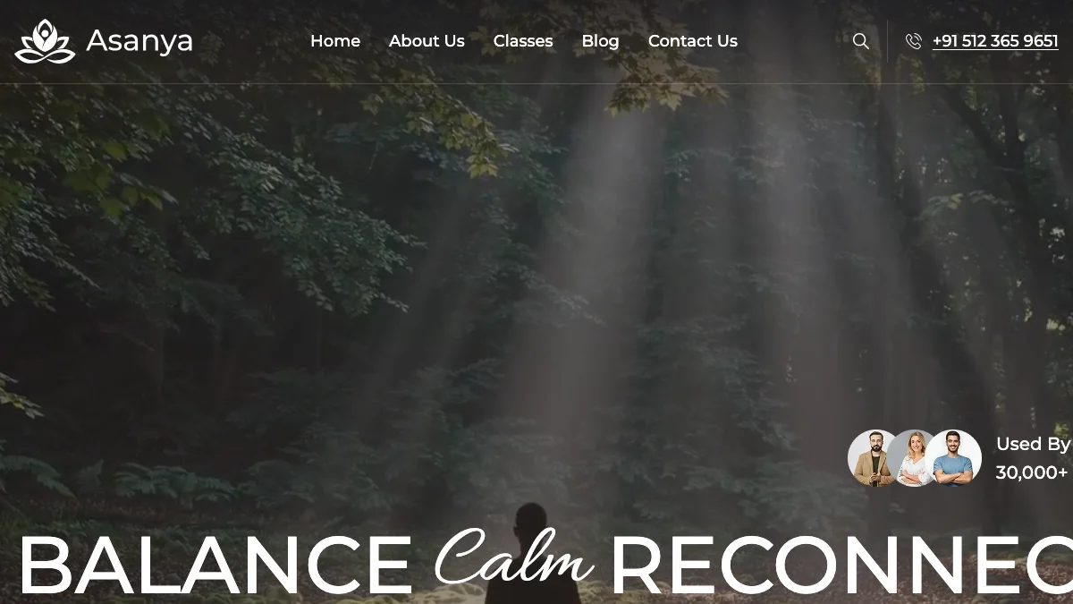 Screenshot of the Asanya theme homepage