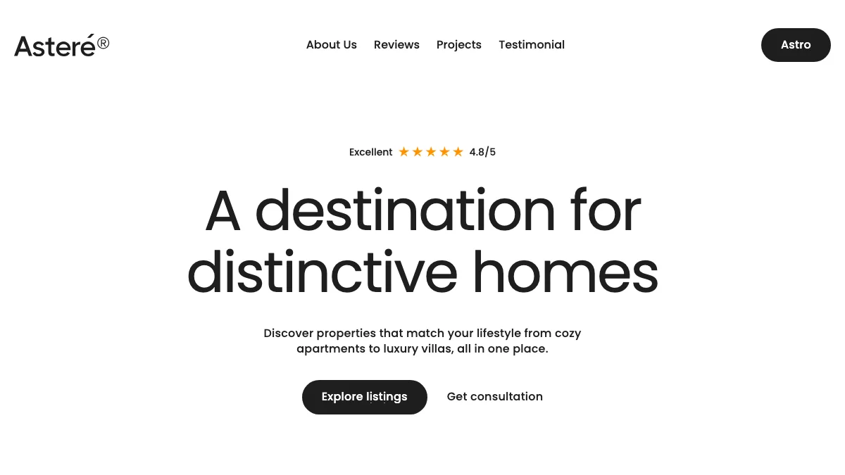Screenshot of the Asterer theme homepage