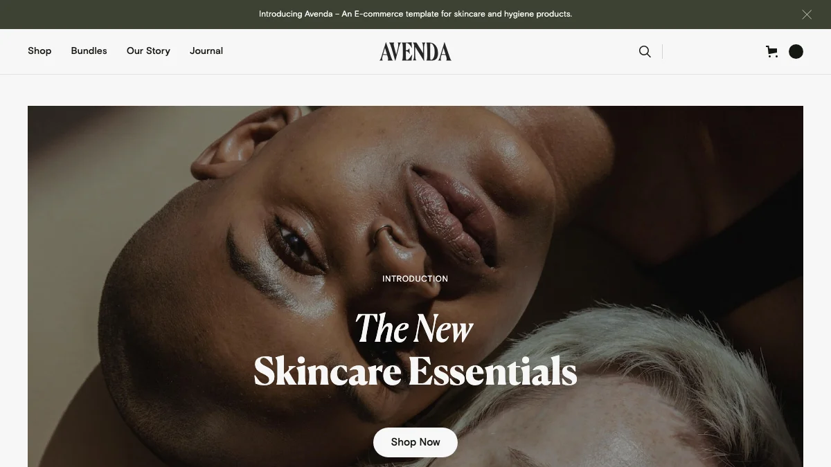 Screenshot of the Avenda theme homepage