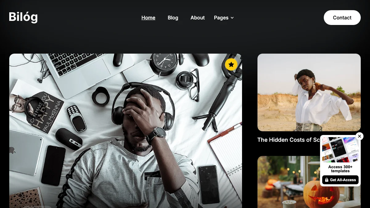 Screenshot of the Bilog theme homepage