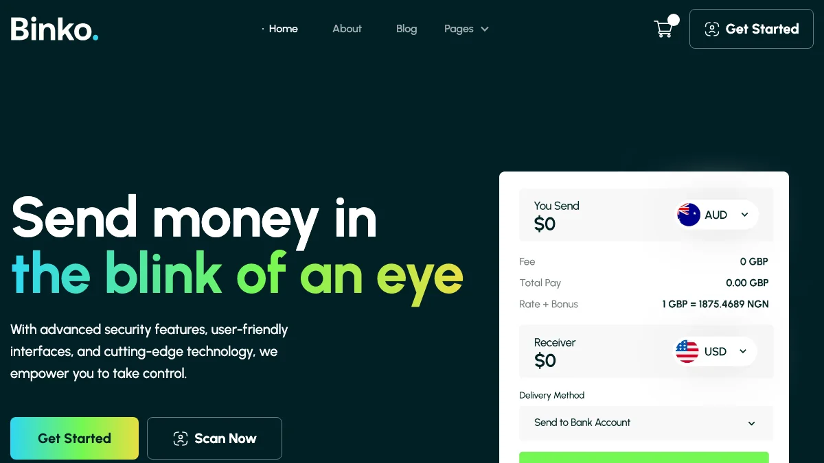 Screenshot of the Binko theme homepage