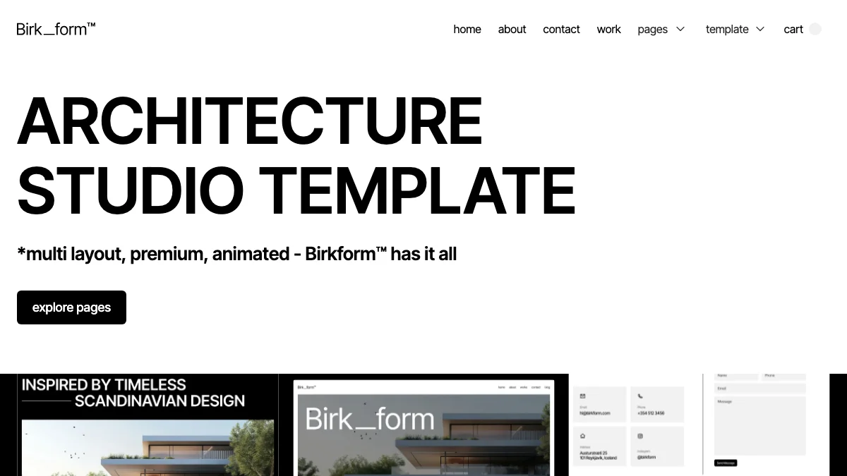 Screenshot of the Birkform theme homepage