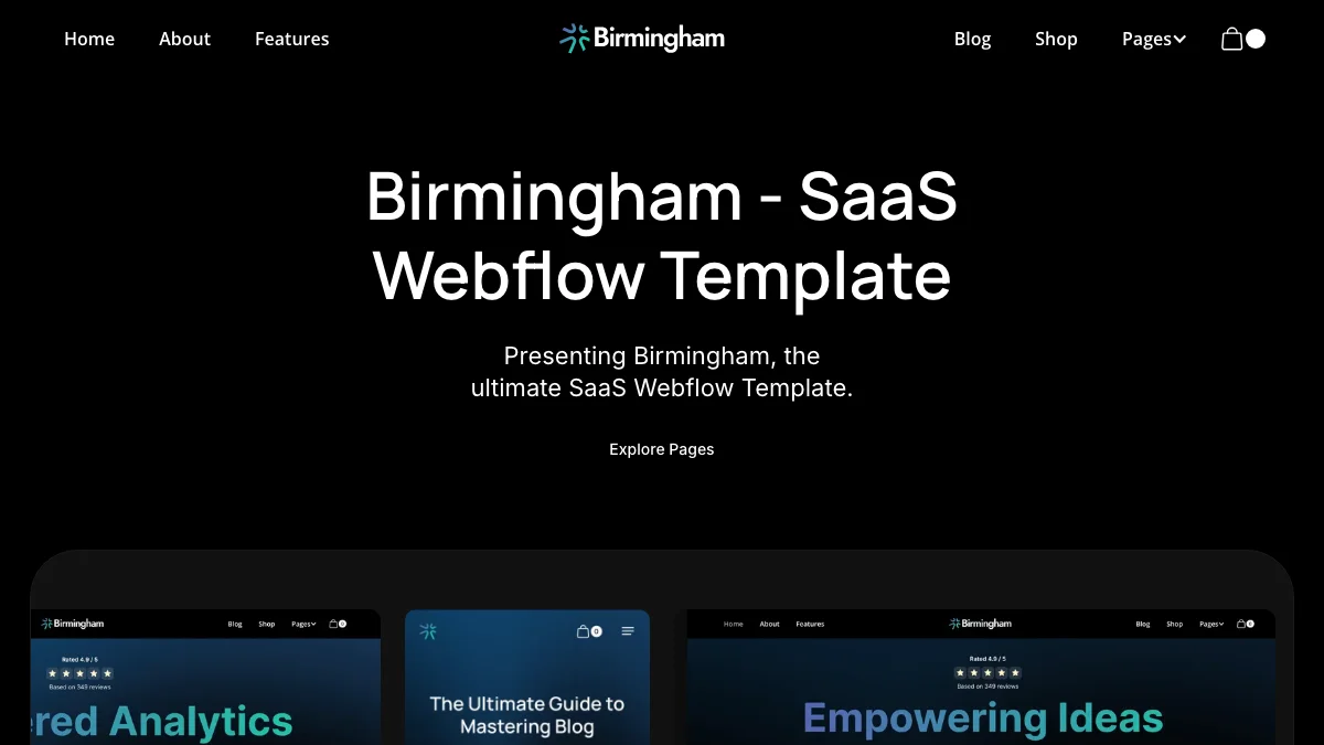 Screenshot of the Birmingham theme homepage