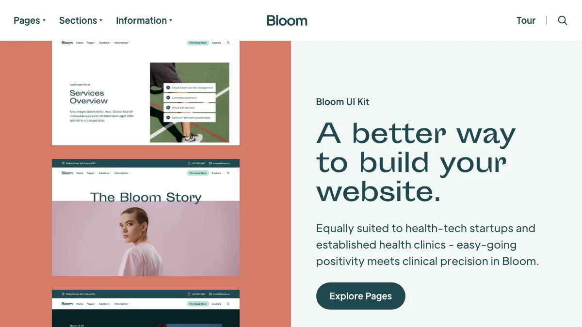 Screenshot of the Bloom theme homepage
