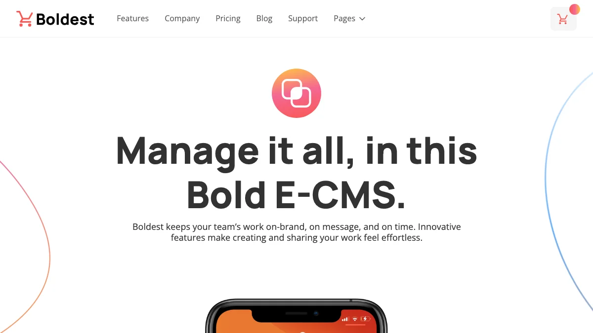 Screenshot of the Boldest theme homepage
