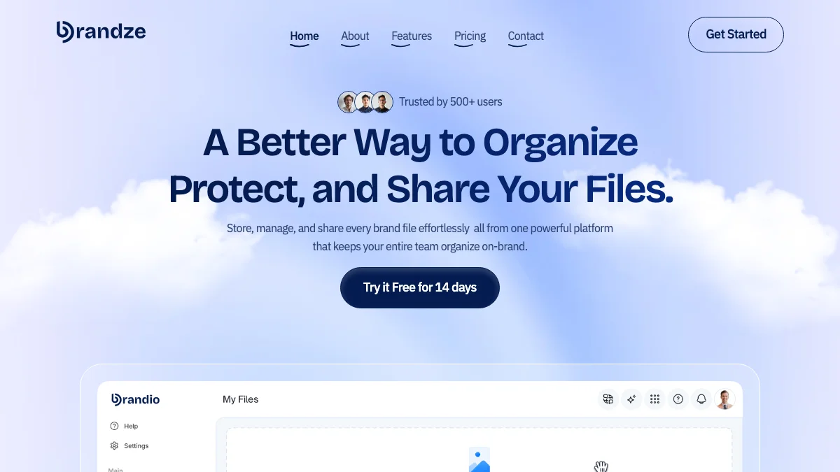 Screenshot of the Brandze theme homepage