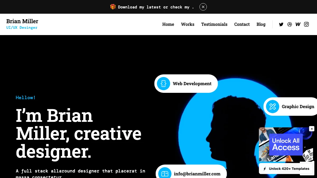 Screenshot of the Brian Miller theme homepage