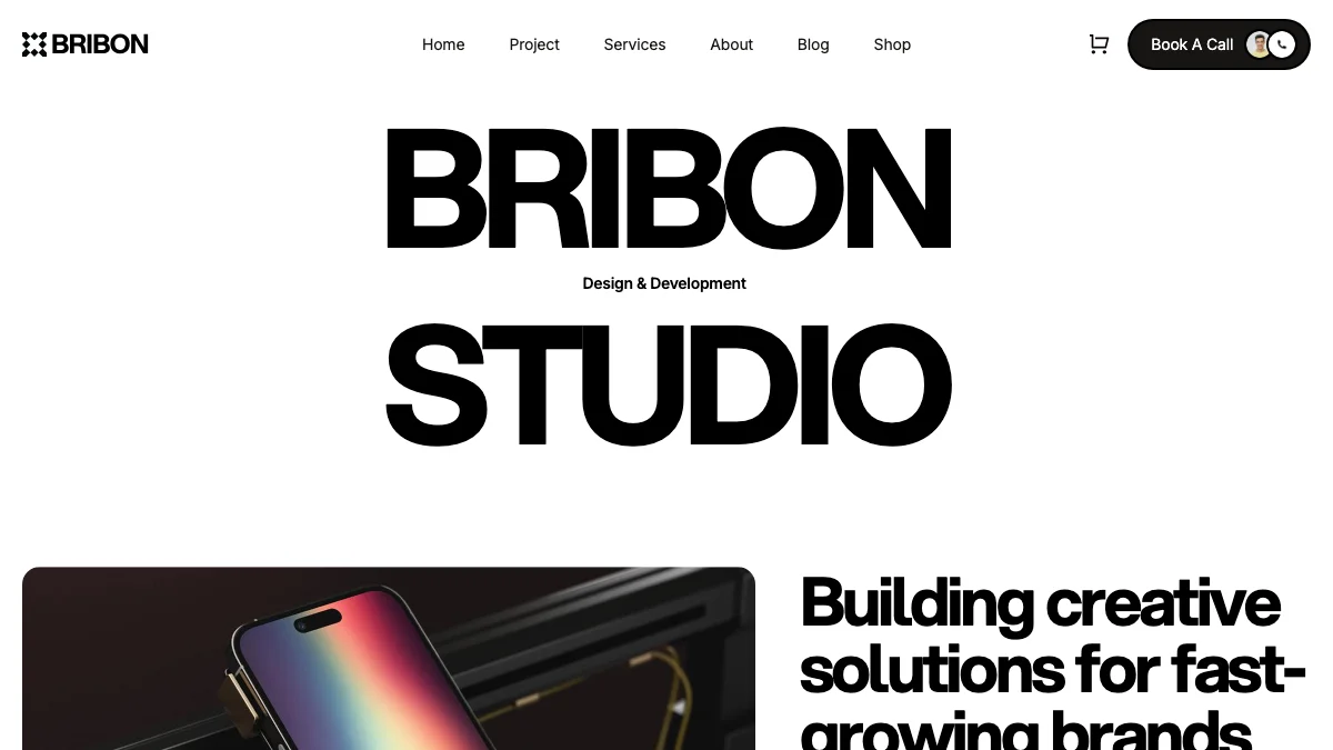 Screenshot of the Bribon theme homepage