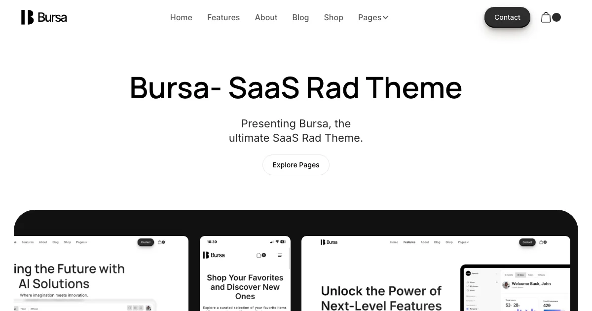 Screenshot of the Bursa theme homepage