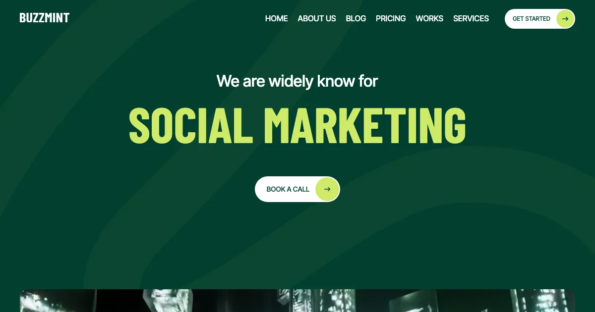 Screenshot of the Buzzmint theme homepage