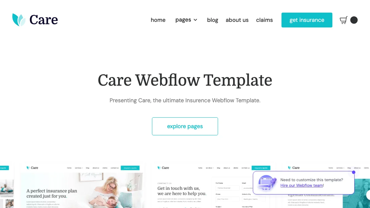 Screenshot of the Care theme homepage