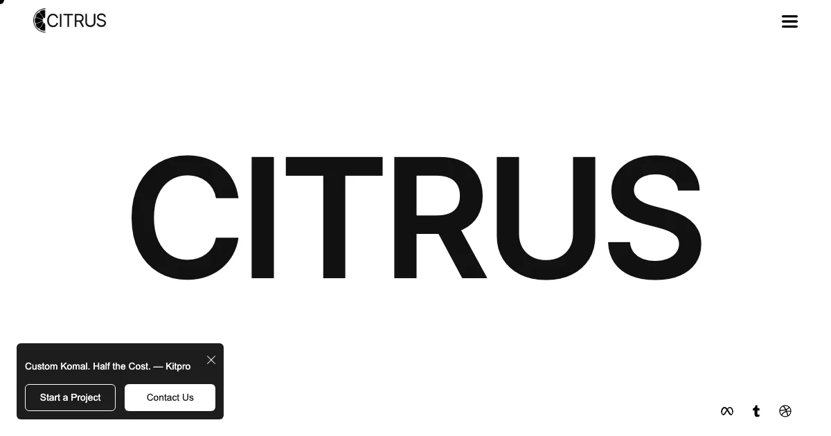 Screenshot of the Citrus theme homepage