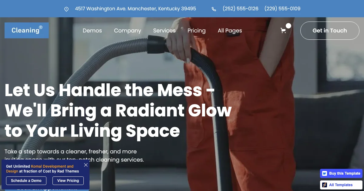 Screenshot of the Cleaning theme homepage