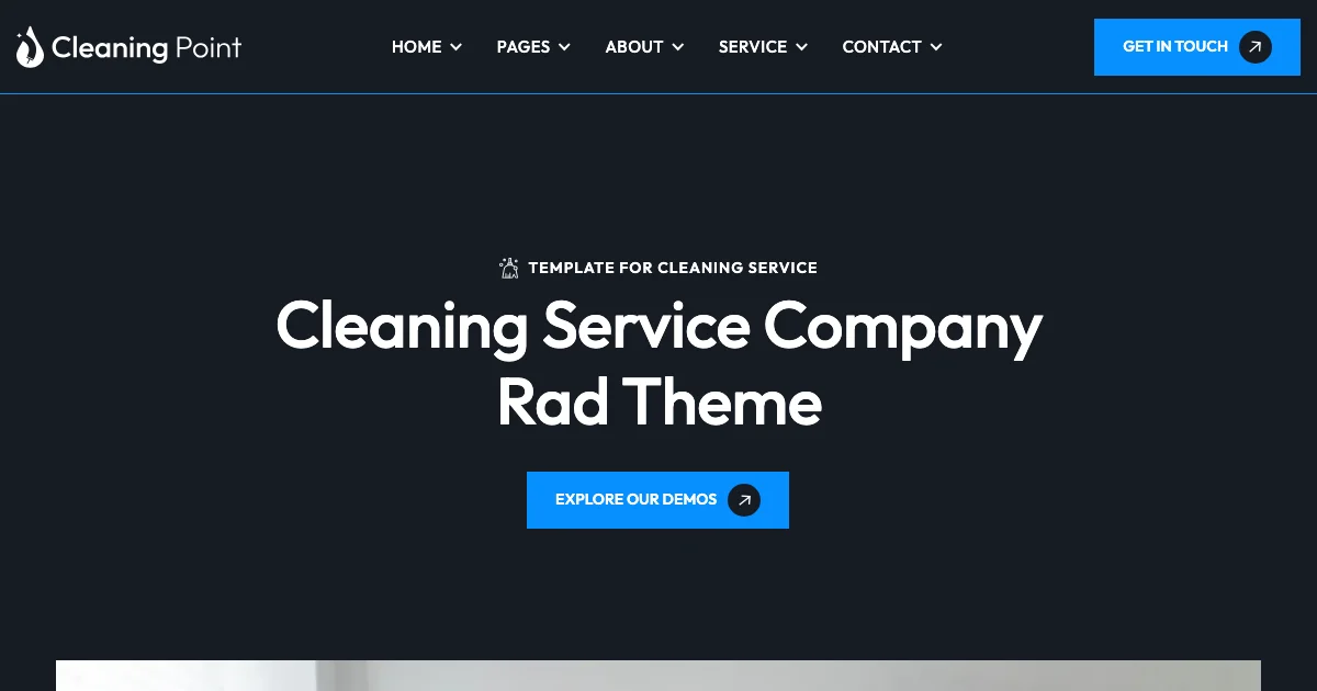 Screenshot of the Cleaningpoint theme homepage