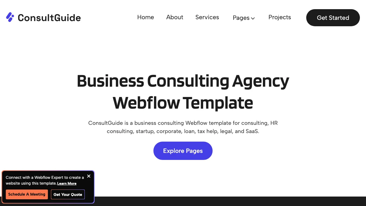 Screenshot of the ConsultGuide theme homepage