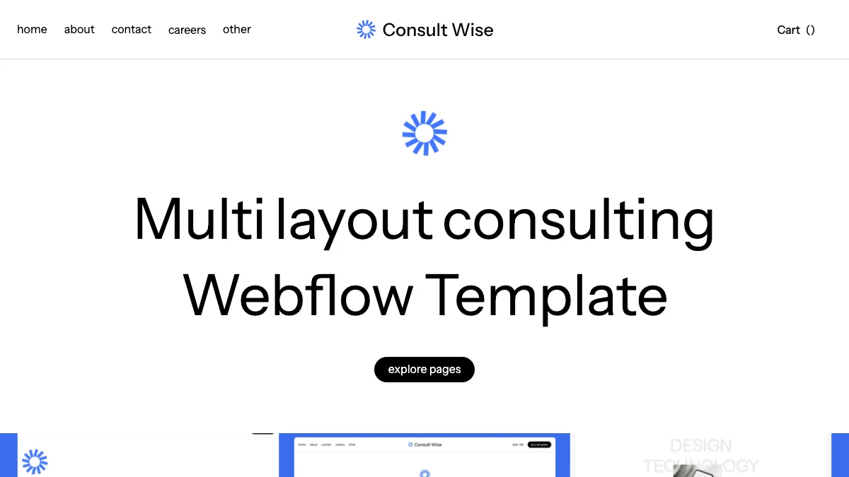 Screenshot of the Consult Wise theme homepage