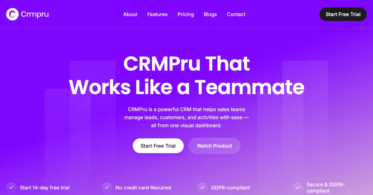 Screenshot of the CRMPru theme homepage