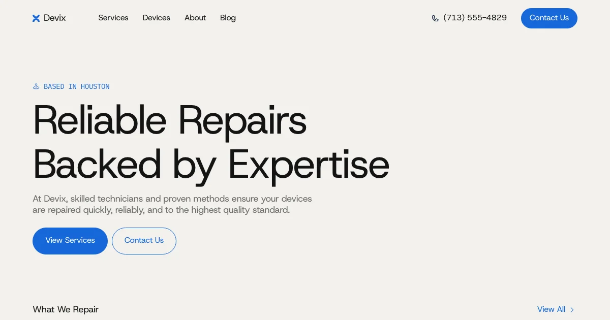Screenshot of the Devix theme homepage