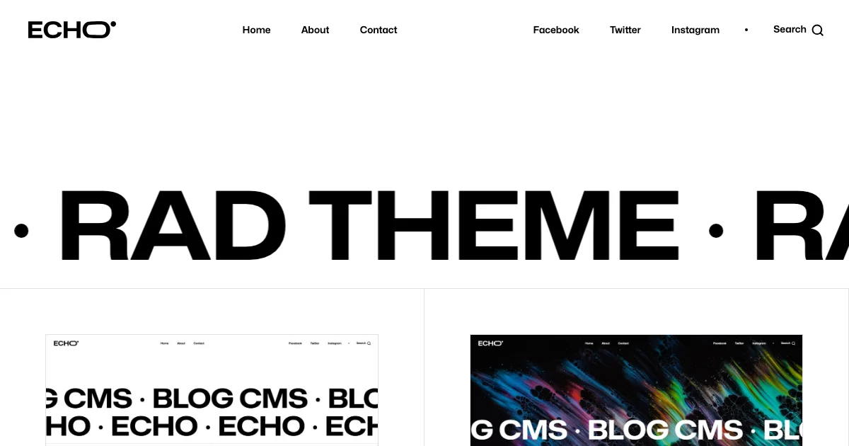 Screenshot of the Echo theme homepage
